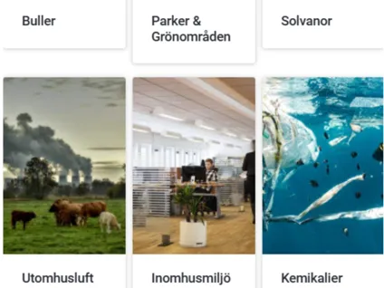 Kapitel i miljöhälsorapport